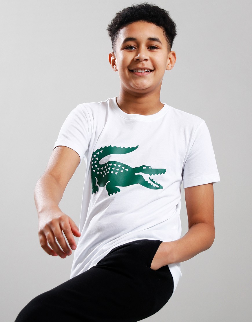 Lacoste Kids Croc T-Shirt White/Green - Terraces Menswear