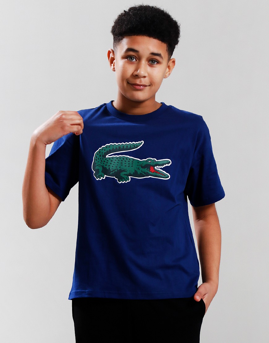 lacoste shirts with big alligator