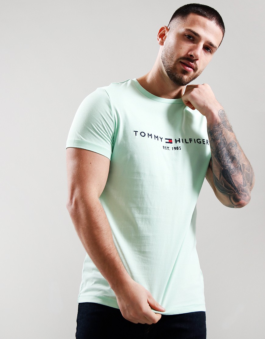Buy Tommy Hilfiger Women Mint Brand Print Long Sleeve T-Shirt